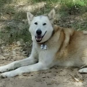 Meet your Posher, Sandy